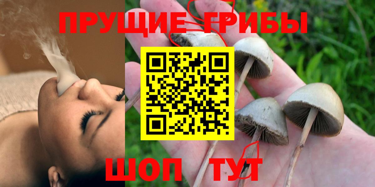 Галлюциногенные грибы мицелий Кизилюрт
