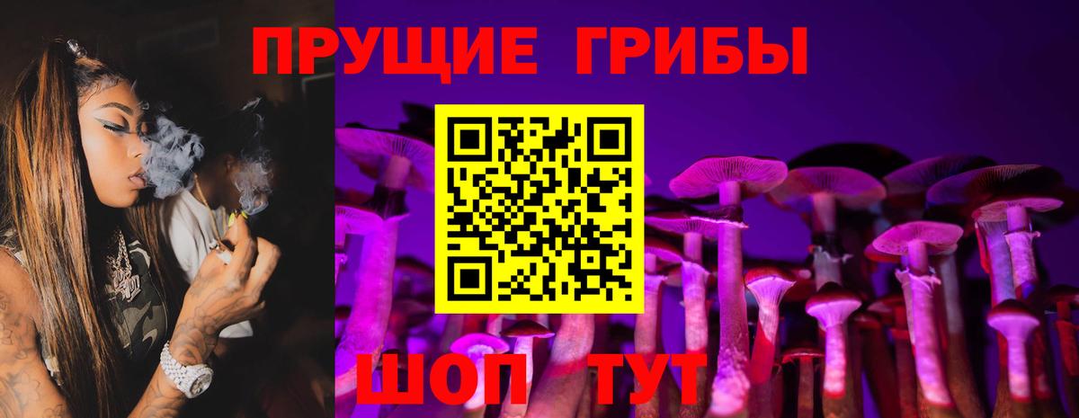 Кизилюрт  Галлюциногенные грибы Cubensis  Вход с VPN 
